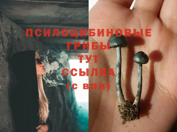 сатива Бугульма
