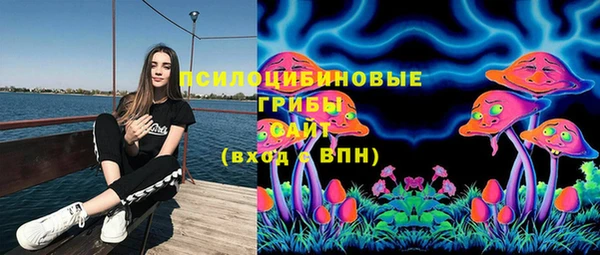 spice Снежногорск