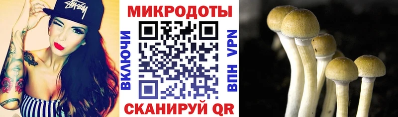 Галлюциногенные грибы Magic Shrooms  Междуреченск 